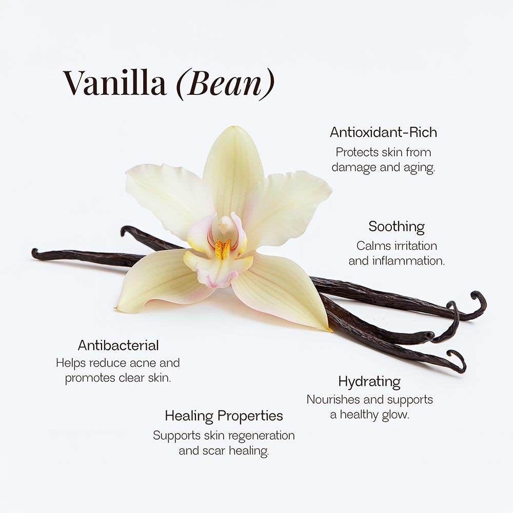 PREIMUS VALOR Grass-Fed Whipped Tallow with Vanilla Bean
