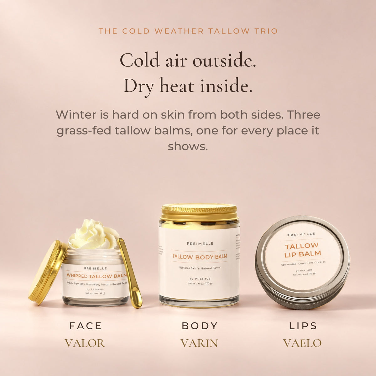 Why winter: VALOR for face, VARIN for body, VAELO for lips