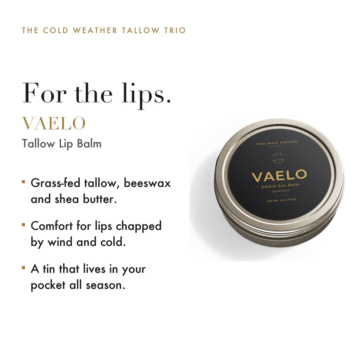 VAELO tallow lip balm