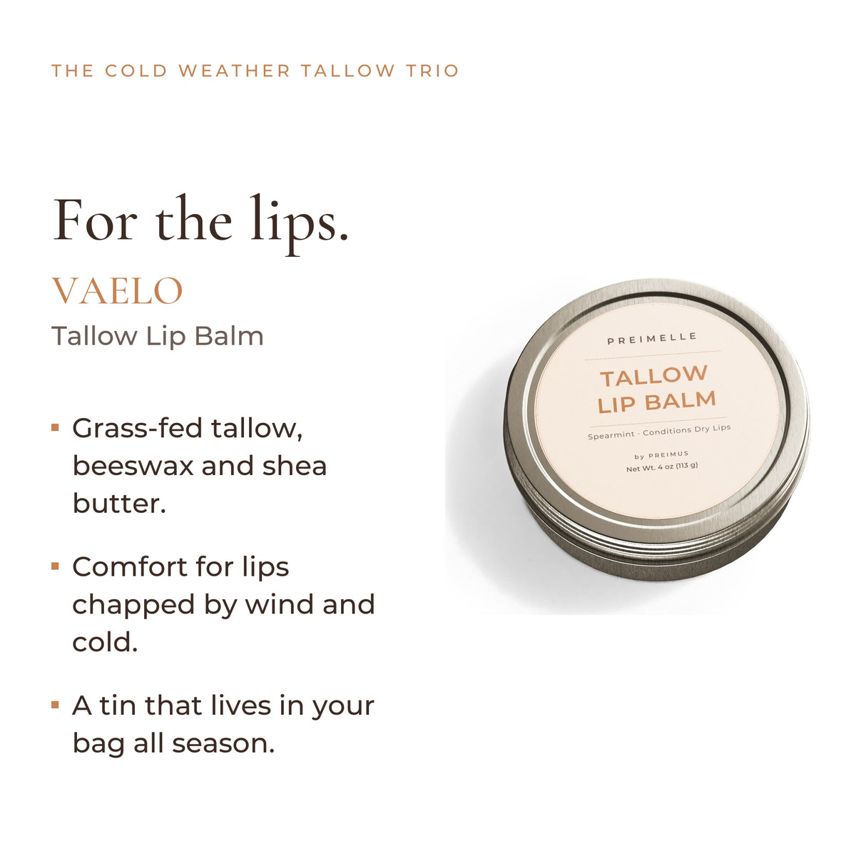 VAELO tallow lip balm