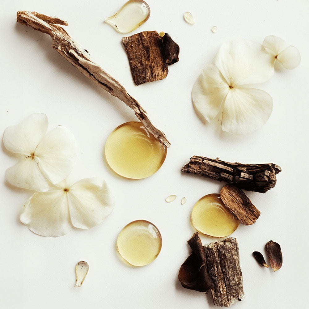 PREIMELLE VALOR Grass-Fed Whipped Tallow with Vanilla Bean