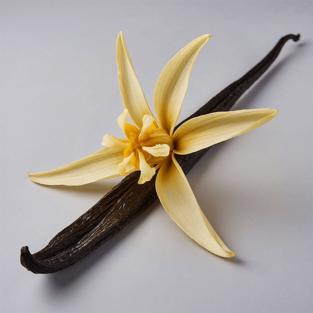 PREIMELLE VALOR Grass-Fed Whipped Tallow with Vanilla Bean